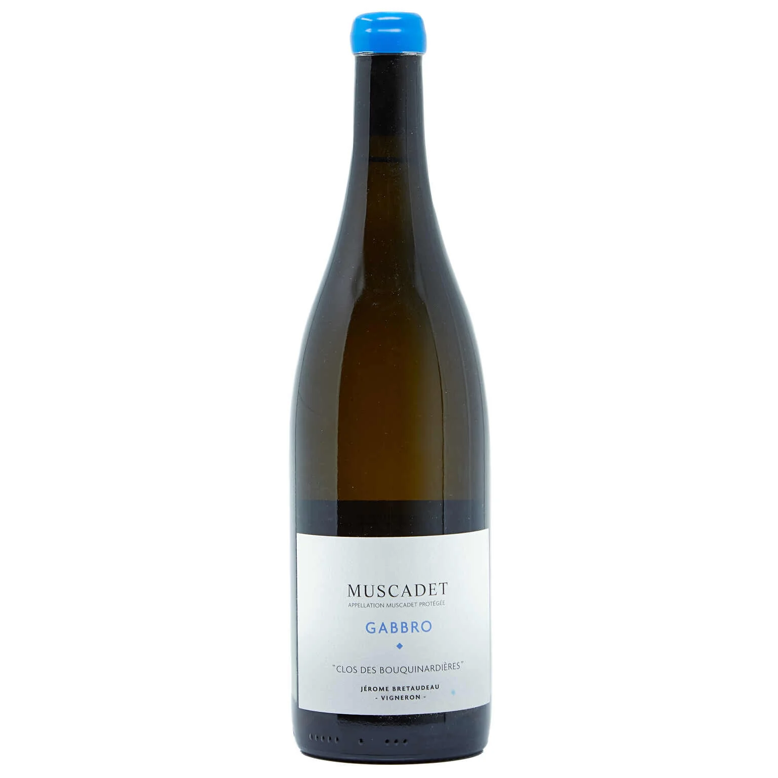 2018 Domaine de Bellevue (Jerome Bretaudeau), Muscadet, Gabbro