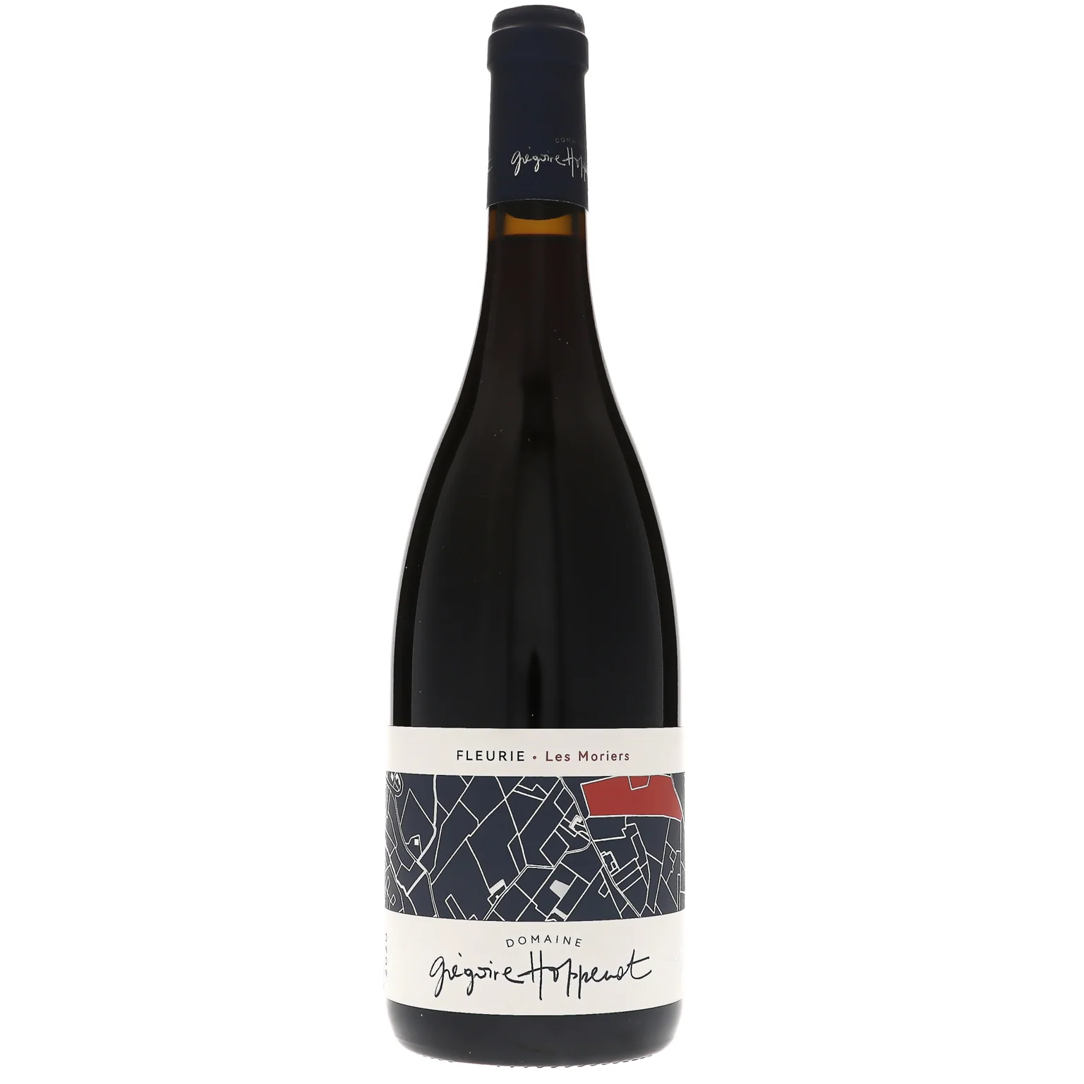 2020 Domaine Gregoire Hoppenot, Fleurie, Les Moriers