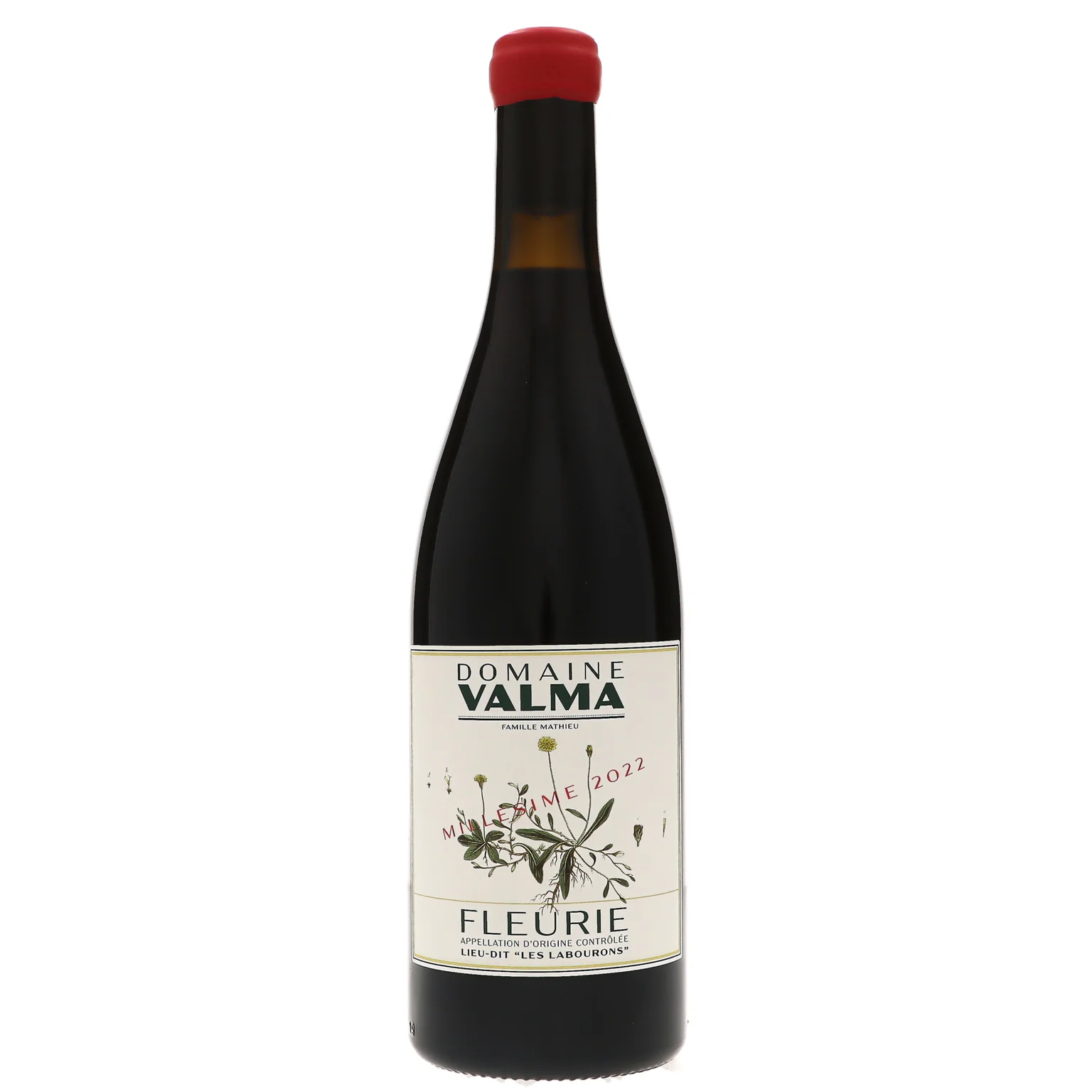 2022 Domaine Valma, Fleurie, Les Labourons