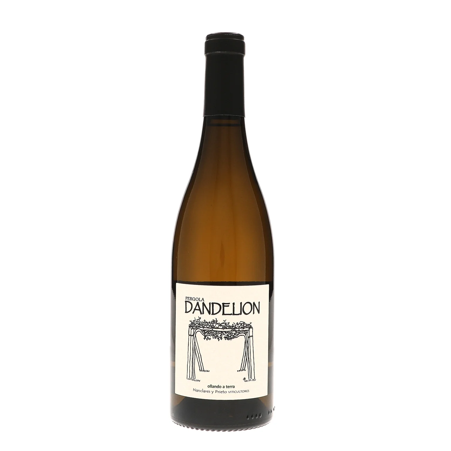 2024 Nanclares, Rias Baixas, Dandelion Albarino